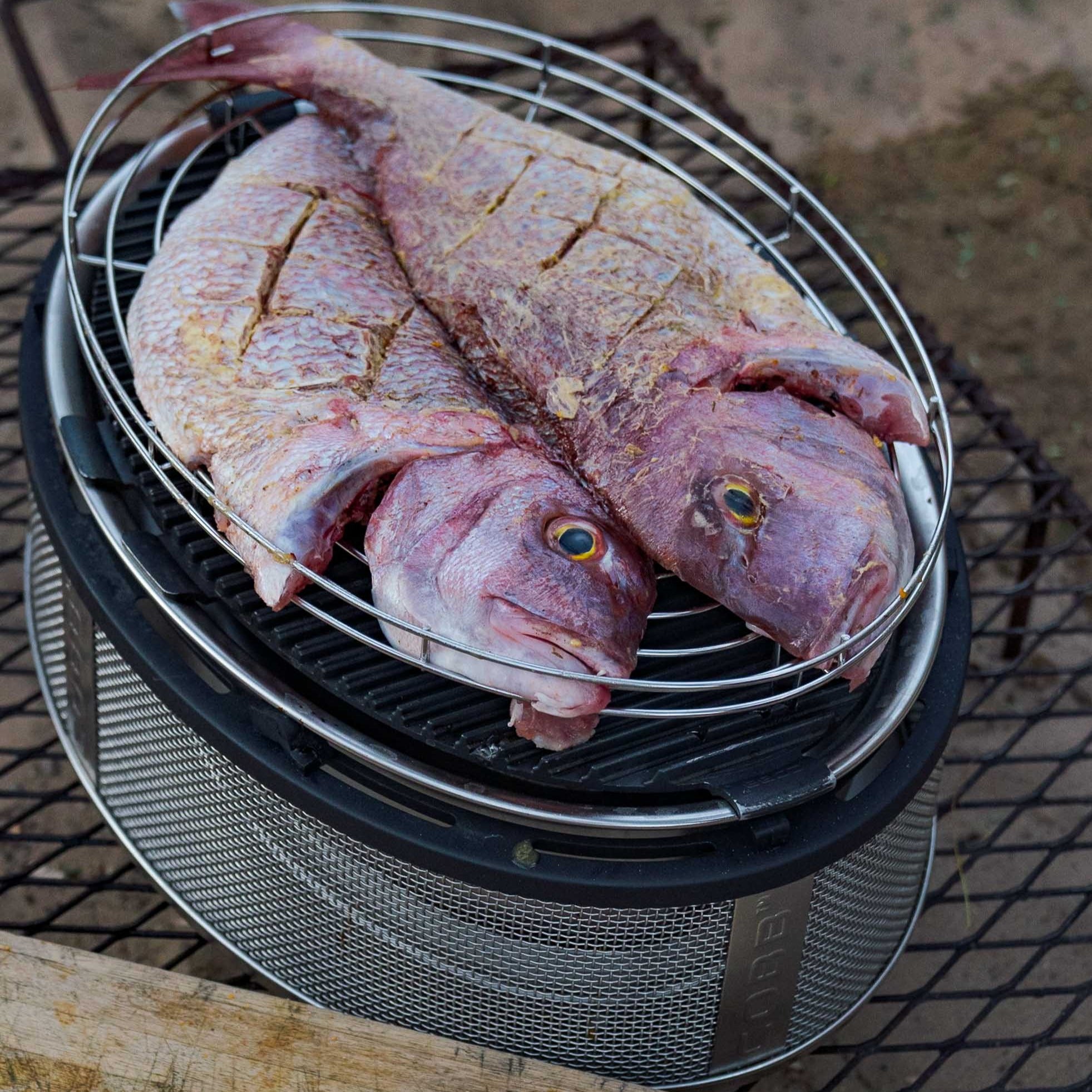 COBB Grill Supreme (Charcoal)